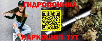 СК Тула