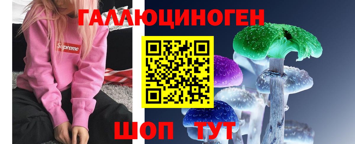 Псилоцибиновые грибы Cubensis Минеральные Воды