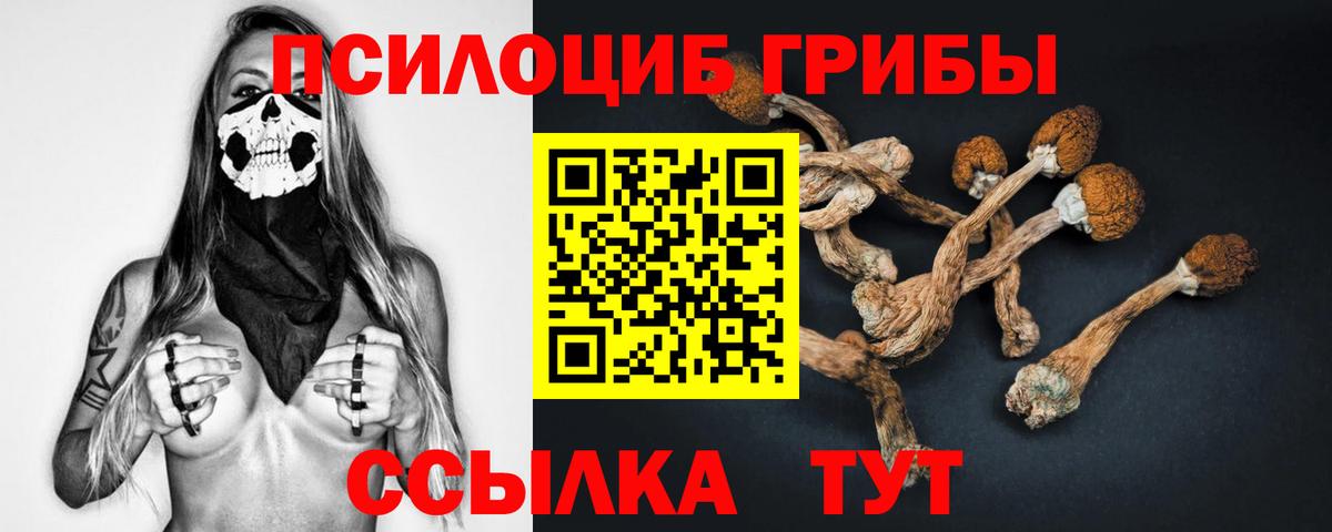 Псилоцибиновые грибы мухоморы  Галлюциногенные грибы прущие грибы  Минеральные Воды  Вход с VPN 